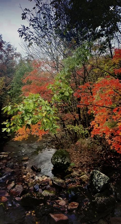 本溪24小时天气预报？本溪24号天气预报？-第7张图片-优品飞百科