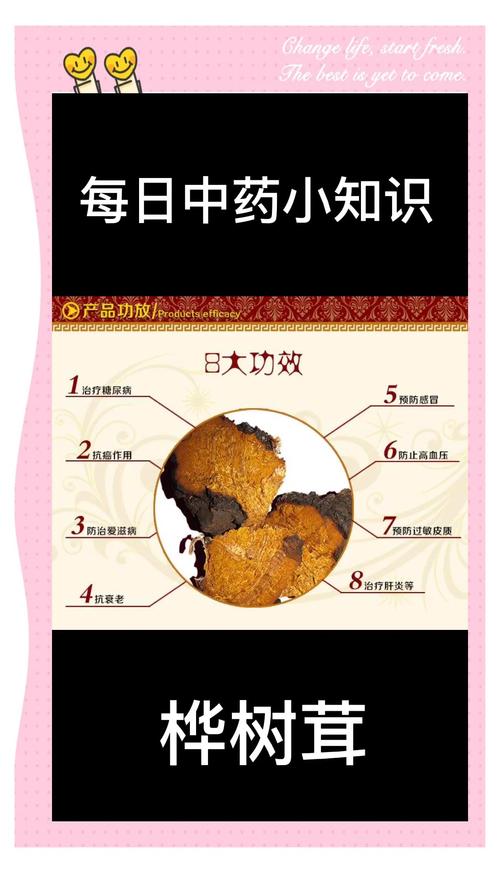 桦树茸的药用价值，费用和食用方法，桦树茸的药用作用是什么