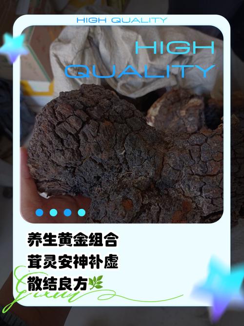 桦树茸的药用价值，费用和食用方法，桦树茸的药用作用是什么-第2张图片-优品飞百科