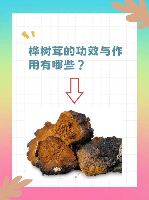 桦树茸的药用价值，费用和食用方法，桦树茸的药用作用是什么-第5张图片-优品飞百科