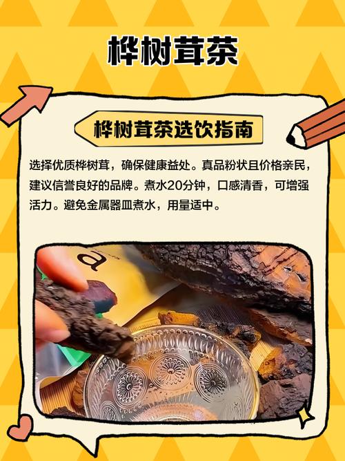 桦树茸的药用价值，费用和食用方法，桦树茸的药用作用是什么-第6张图片-优品飞百科