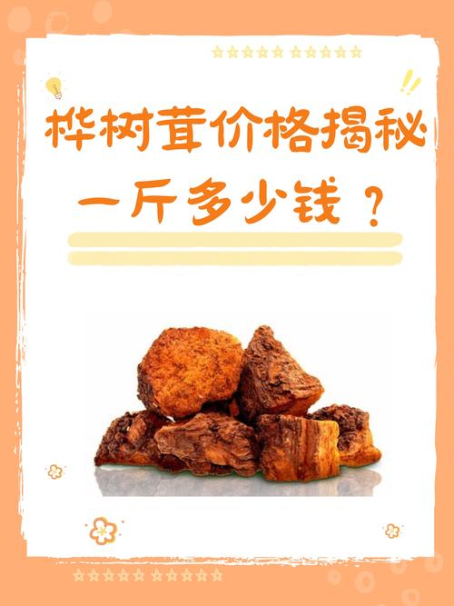 桦树茸的药用价值，费用和食用方法，桦树茸的药用作用是什么-第8张图片-优品飞百科