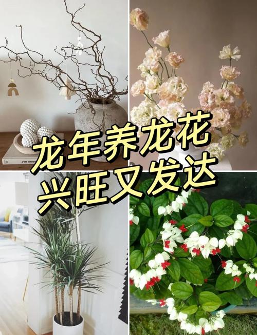 龙牙草的养殖方法？龙牙草的功效是什么？