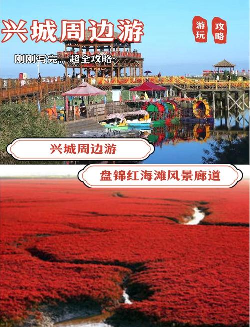 辽宁盘锦大洼天气预报，辽宁盘锦大洼天气预报15天-第1张图片-优品飞百科