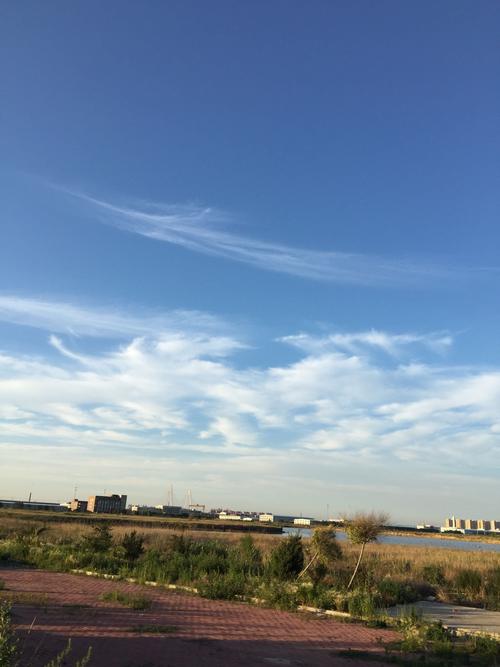 辽宁盘锦大洼天气预报，辽宁盘锦大洼天气预报15天-第2张图片-优品飞百科