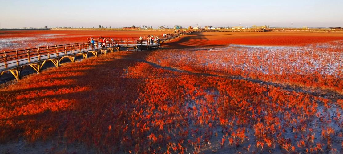 辽宁盘锦大洼天气预报，辽宁盘锦大洼天气预报15天-第4张图片-优品飞百科