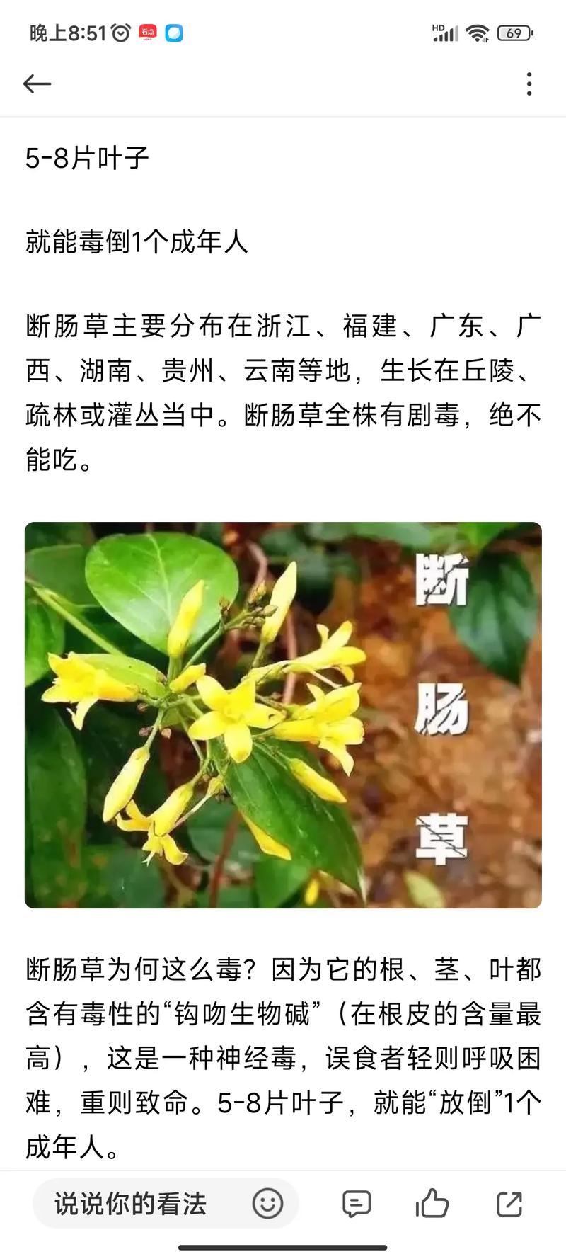 断肠草的功效与作用，断肠草什么作用-第2张图片-优品飞百科