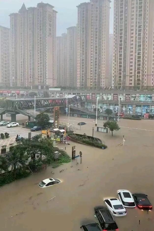 东莞石排天气预报？东莞石排天气预报15天查询？-第5张图片-优品飞百科