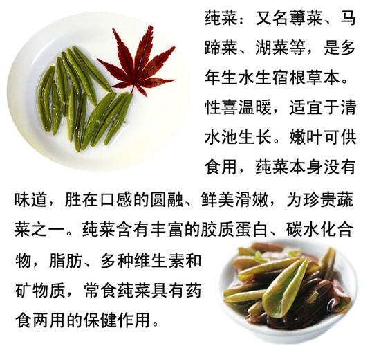 莼菜可以吃吗,莼菜能吃吗?-第2张图片-优品飞百科 莼菜可以吃吗,莼菜能吃吗?-第2张图片-优品飞百科