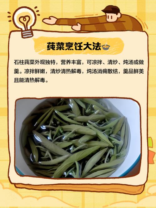 莼菜可以吃吗,莼菜能吃吗?-第3张图片-优品飞百科 莼菜可以吃吗,莼菜能吃吗?-第3张图片-优品飞百科