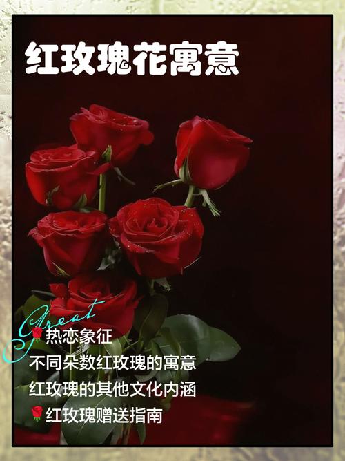 玫瑰花在风水上有忌讳吗？玫瑰花种植风水？-第1张图片-优品飞百科