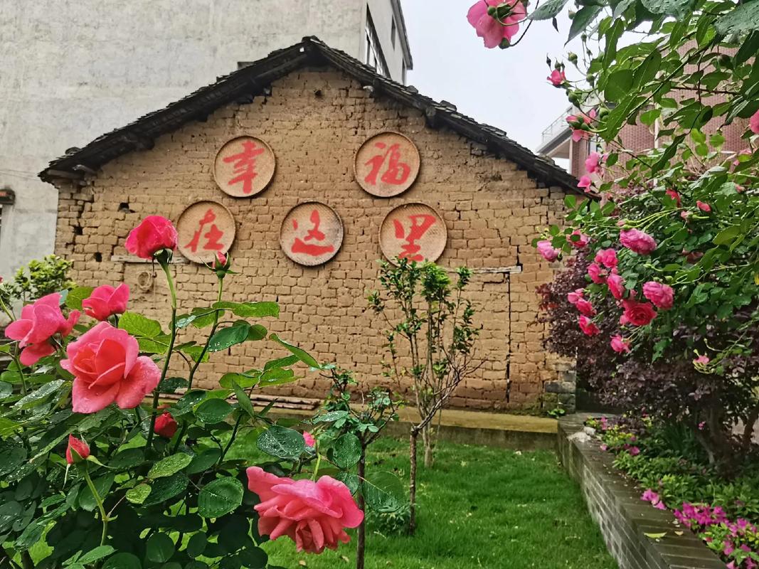 玫瑰花在风水上有忌讳吗？玫瑰花种植风水？-第4张图片-优品飞百科