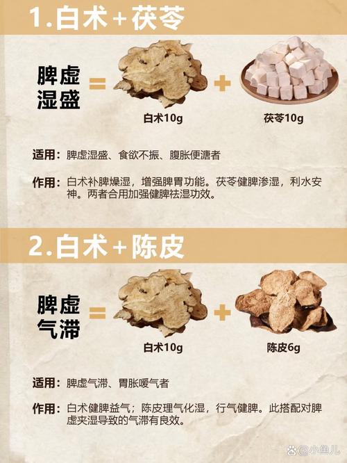 白术的功效与作用,白术的功效与作用禁忌与副作用有哪些-第4张图片-优品飞百科 白术的功效与作用,白术的功效与作用禁忌与副作用有哪些-第4张图片-优品飞百科