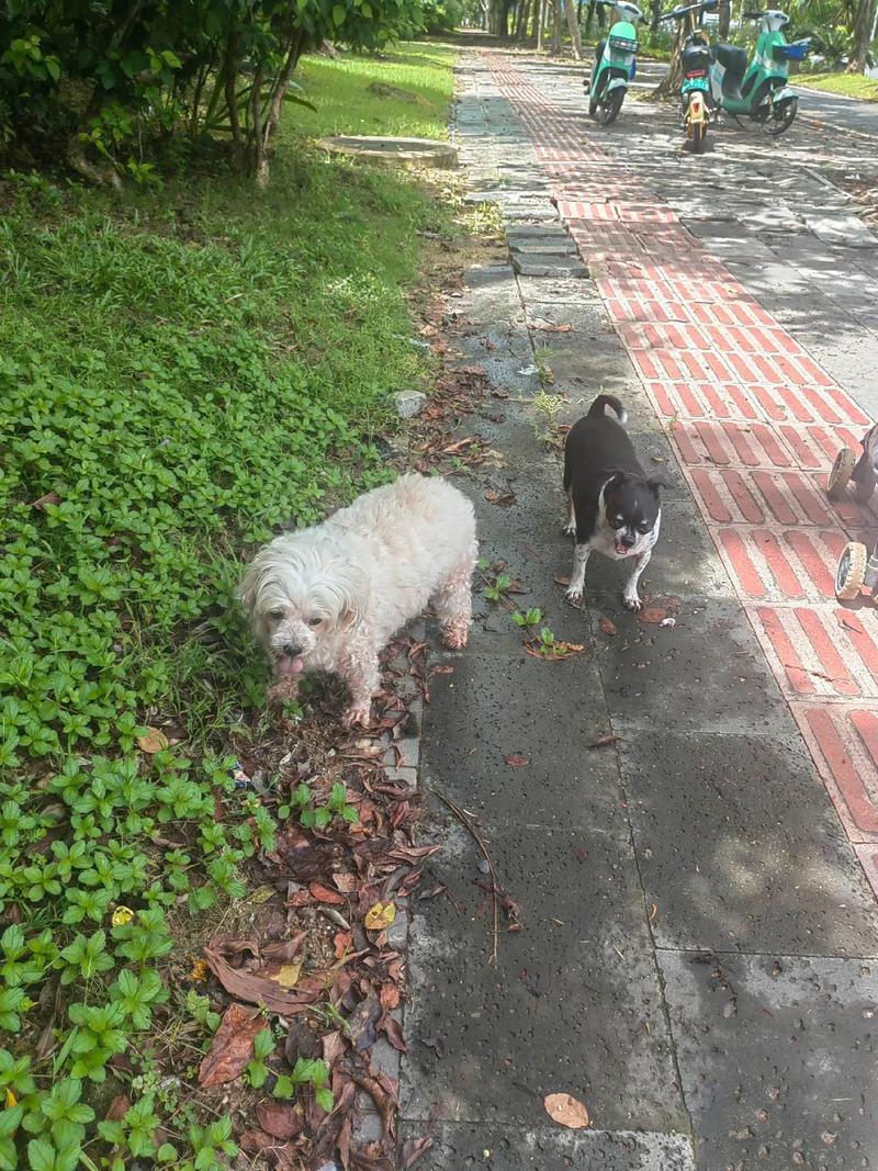 上海杨浦区天气预报天气预报，上海杨浦天气预报15天查询-第5张图片-优品飞百科