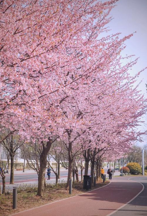 上海杨浦区天气预报天气预报，上海杨浦天气预报15天查询-第6张图片-优品飞百科