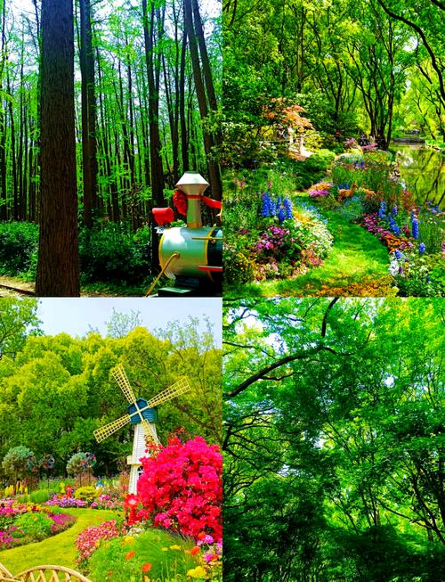 上海杨浦区天气预报天气预报，上海杨浦天气预报15天查询-第7张图片-优品飞百科