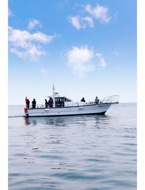 黄岛区一周天气预报，黄岛区一周天气预报七天查询-第1张图片-优品飞百科