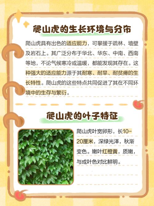 爬山虎对房子有害吗,爬山虎对墙面危害大吗?-第8张图片-优品飞百科 爬山虎对房子有害吗,爬山虎对墙面危害大吗?-第8张图片-优品飞百科