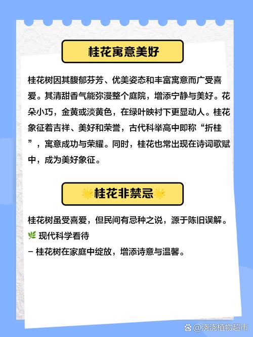 家里为什么不能种桂花，室内为什么不能种桂花-第7张图片-优品飞百科