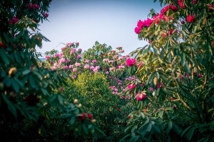 黔西天气预报？大方天气预报？-第2张图片-优品飞百科