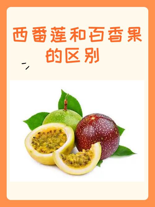 西番莲的价值？西番莲的营养价值？