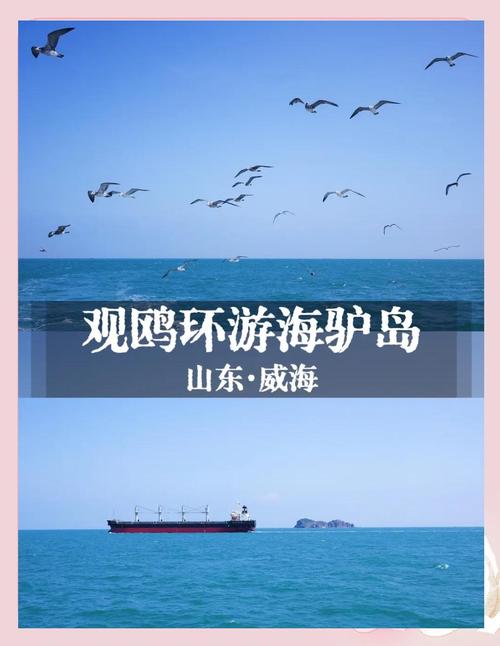 烟台蓬莱天气预报，青岛烟台蓬莱天气预报？-第1张图片-优品飞百科