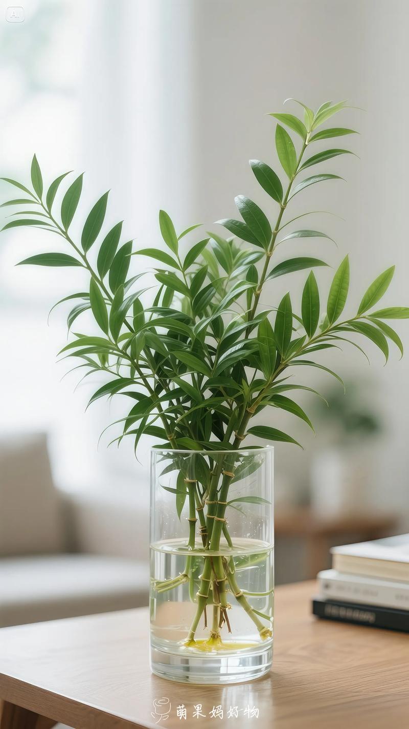 植物空气净化排名榜，快养一盆吧！，空气净化类植物？-第5张图片-优品飞百科