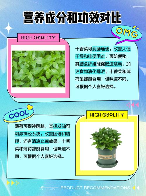 十香菜和薄荷的区别?十香菜和薄荷的区别几种比较好?-第1张图片-优品飞百科 十香菜和薄荷的区别?十香菜和薄荷的区别几种比较好?-第1张图片-优品飞百科