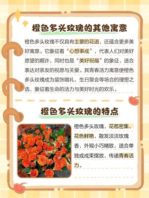 蔷薇花语及代表意义，蔷薇花语及代表意义和象征？