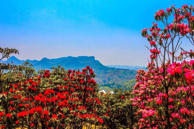 贵州大方天气预报，贵州大方天气预报最新今天？-第6张图片-优品飞百科