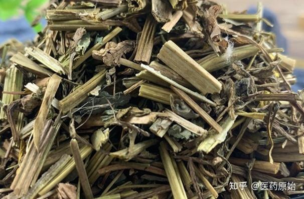 白屈菜的功效与作用，中药白屈菜的功效与作用？-第5张图片-优品飞百科