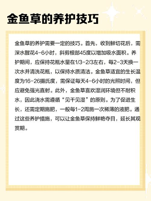 金鱼草的花语，金鱼草的寓意和象征？-第1张图片-优品飞百科