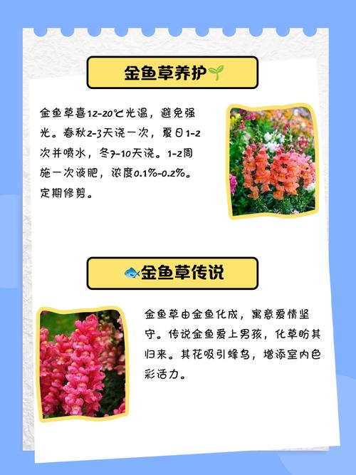 金鱼草的花语，金鱼草的寓意和象征？-第2张图片-优品飞百科