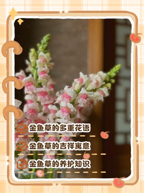 金鱼草的花语，金鱼草的寓意和象征？-第5张图片-优品飞百科