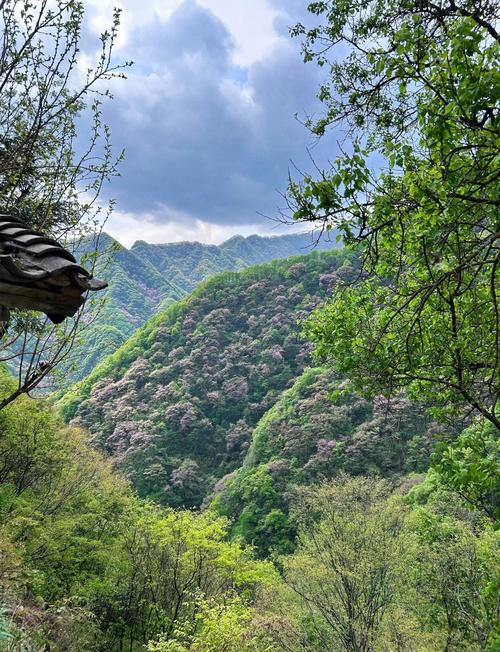 鄠邑区天气预报，鄠邑区天气预报15天准确率？-第2张图片-优品飞百科