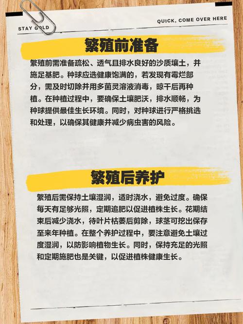 风信子繁殖方法有哪些，风信子好繁殖吗，风信孑是怎样繁殖-第7张图片-优品飞百科