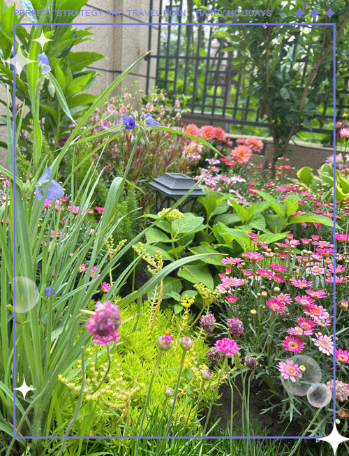 这7种花，让你家里没蚊子，太实用了，这7种花,让你家里没蚊子,太实用了怎么办？-第4张图片-优品飞百科