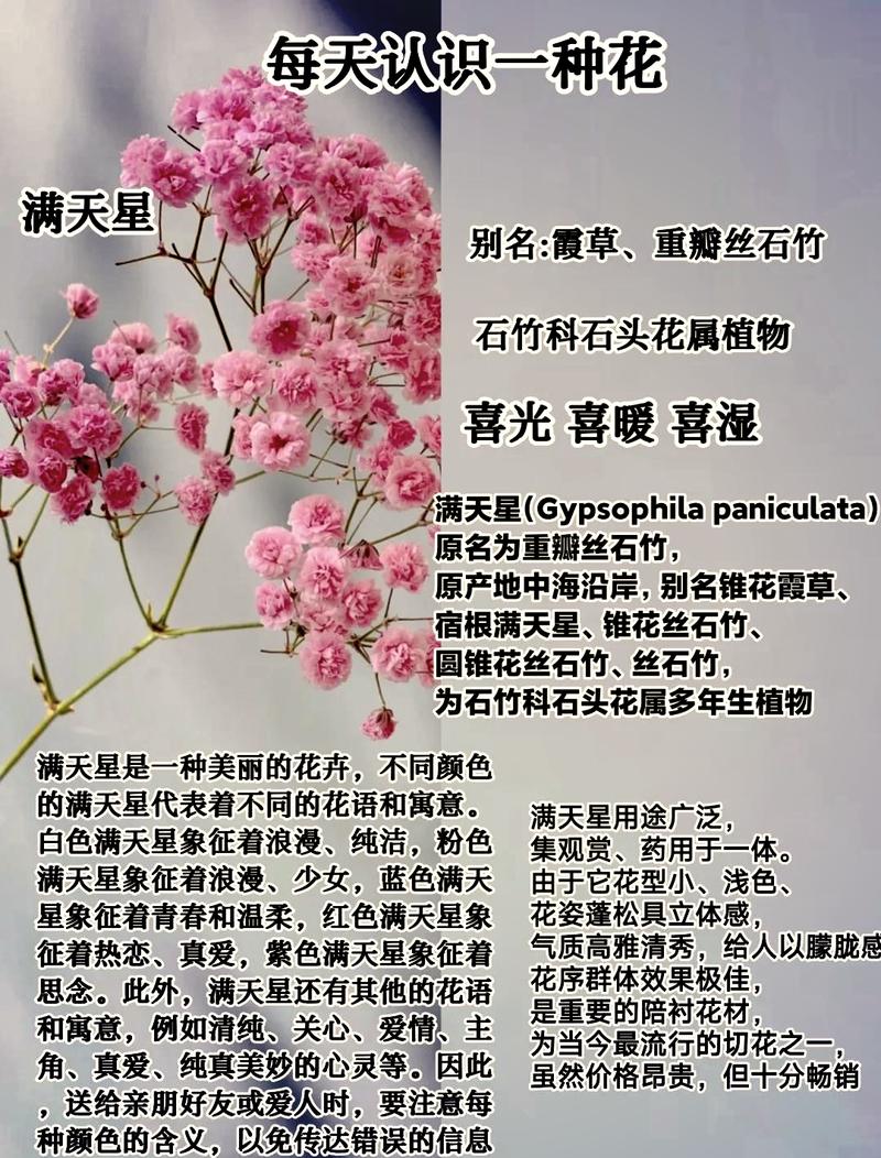 满天星的功效与作用，绿幽灵满天星的功效与作用-第2张图片-优品飞百科