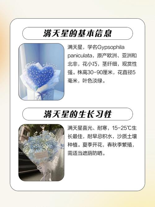 满天星的功效与作用，绿幽灵满天星的功效与作用-第5张图片-优品飞百科