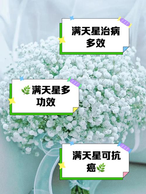 满天星的功效与作用，绿幽灵满天星的功效与作用-第8张图片-优品飞百科
