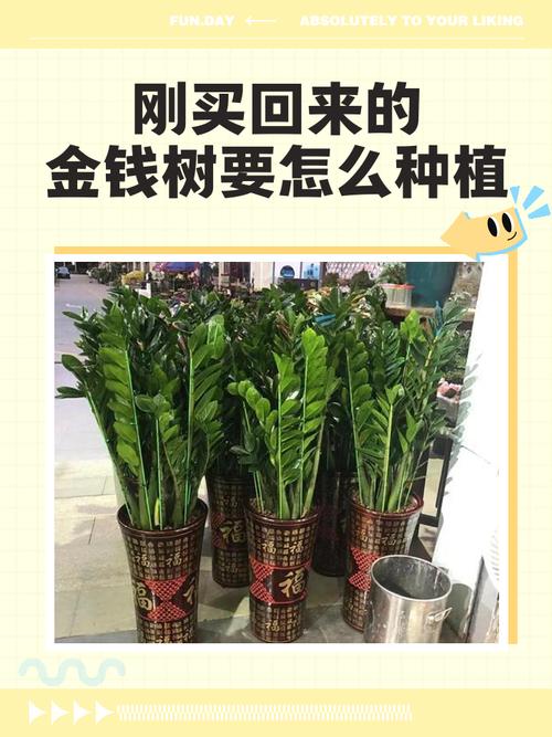 顺德陈村天气预报，顺德陈村天气预报15天降雨情况？-第4张图片-优品飞百科