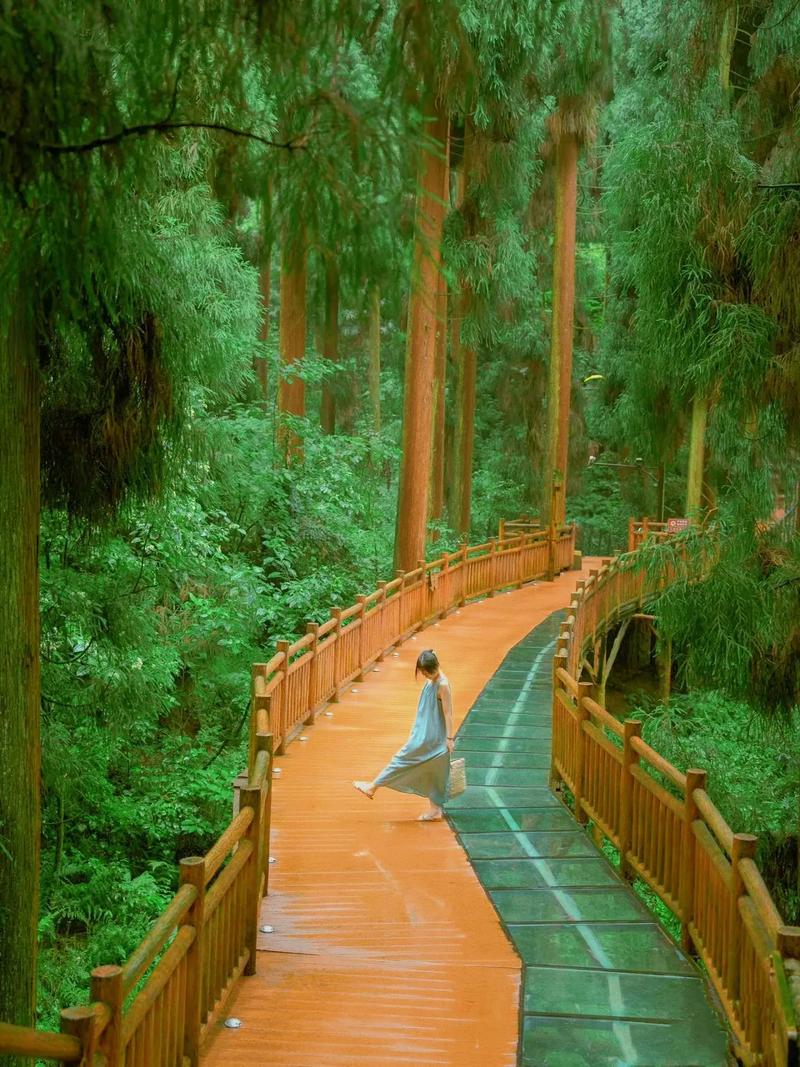 七里坪天气预报，湖北七里坪天气预报？-第2张图片-优品飞百科