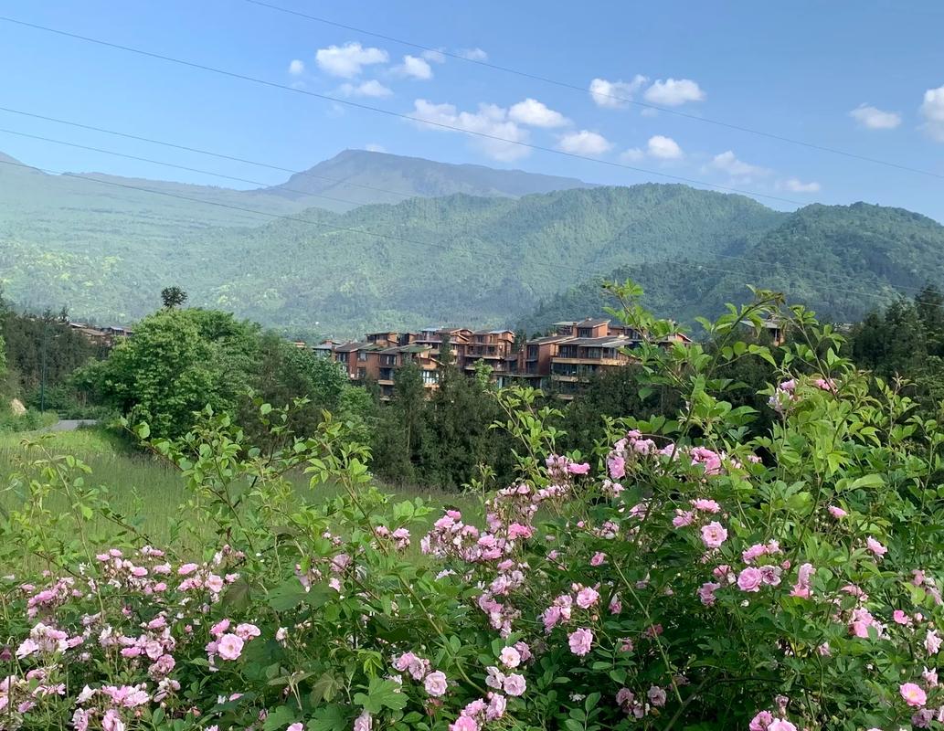 七里坪天气预报，湖北七里坪天气预报？-第4张图片-优品飞百科