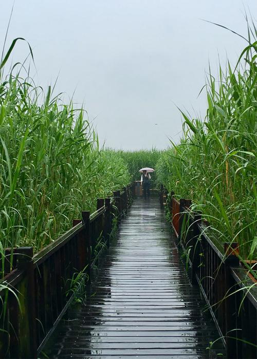 亳州市蒙城县天气预报？亳州市蒙城县天气预报下载？-第4张图片-优品飞百科