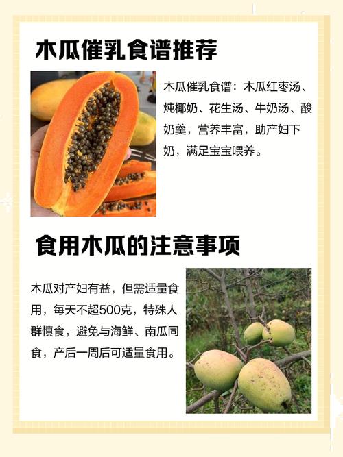 木瓜的正确吃法，木瓜食用方法，木瓜怎么吃有什么作用-第3张图片-优品飞百科