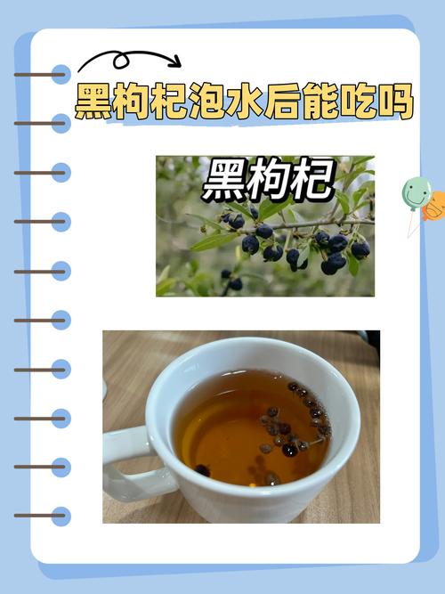 枸杞泡茶的作用，枸杞泡茶的功能-第1张图片-优品飞百科