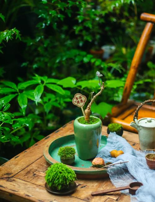 最适合老人养的8款花，最适合老人养的四种花-第5张图片-优品飞百科