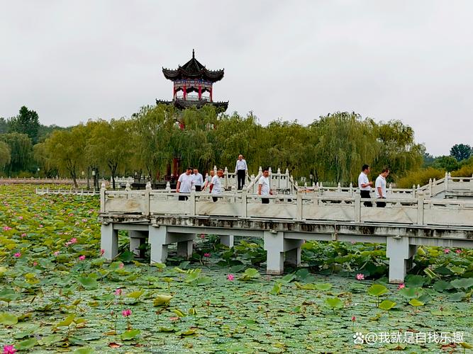 岐山天气预报，蔡家坡天气预报-第4张图片-优品飞百科
