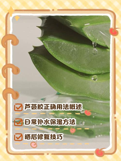 新鲜芦荟涂脸正确方法，新鲜芦荟涂脸正确方法芦荟可以作汤吗?芦荟可以食用吗？-第2张图片-优品飞百科