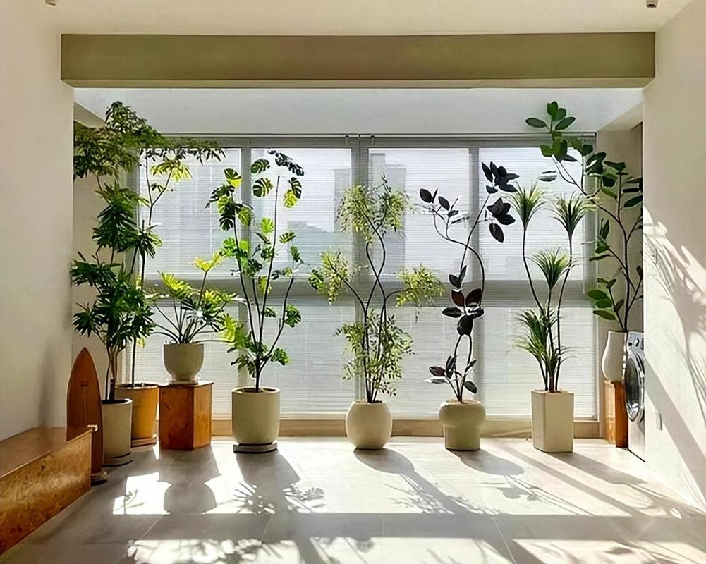 客厅放什么植物旺财，适合放客厅的大盆植物，客厅放什么盆栽旺财-第6张图片-优品飞百科